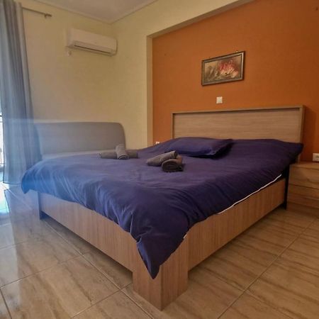 Athens Luxury Home * Private Parking * Attica Metro Station المظهر الخارجي الصورة